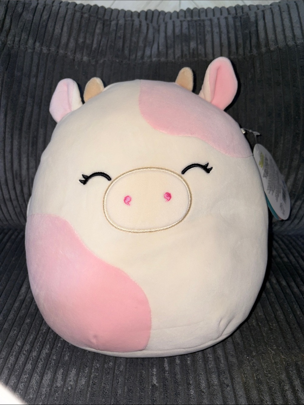 Caedyn the Cow RARE Squishmallow 10in